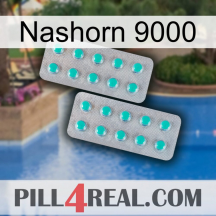 Rhino 9000 29